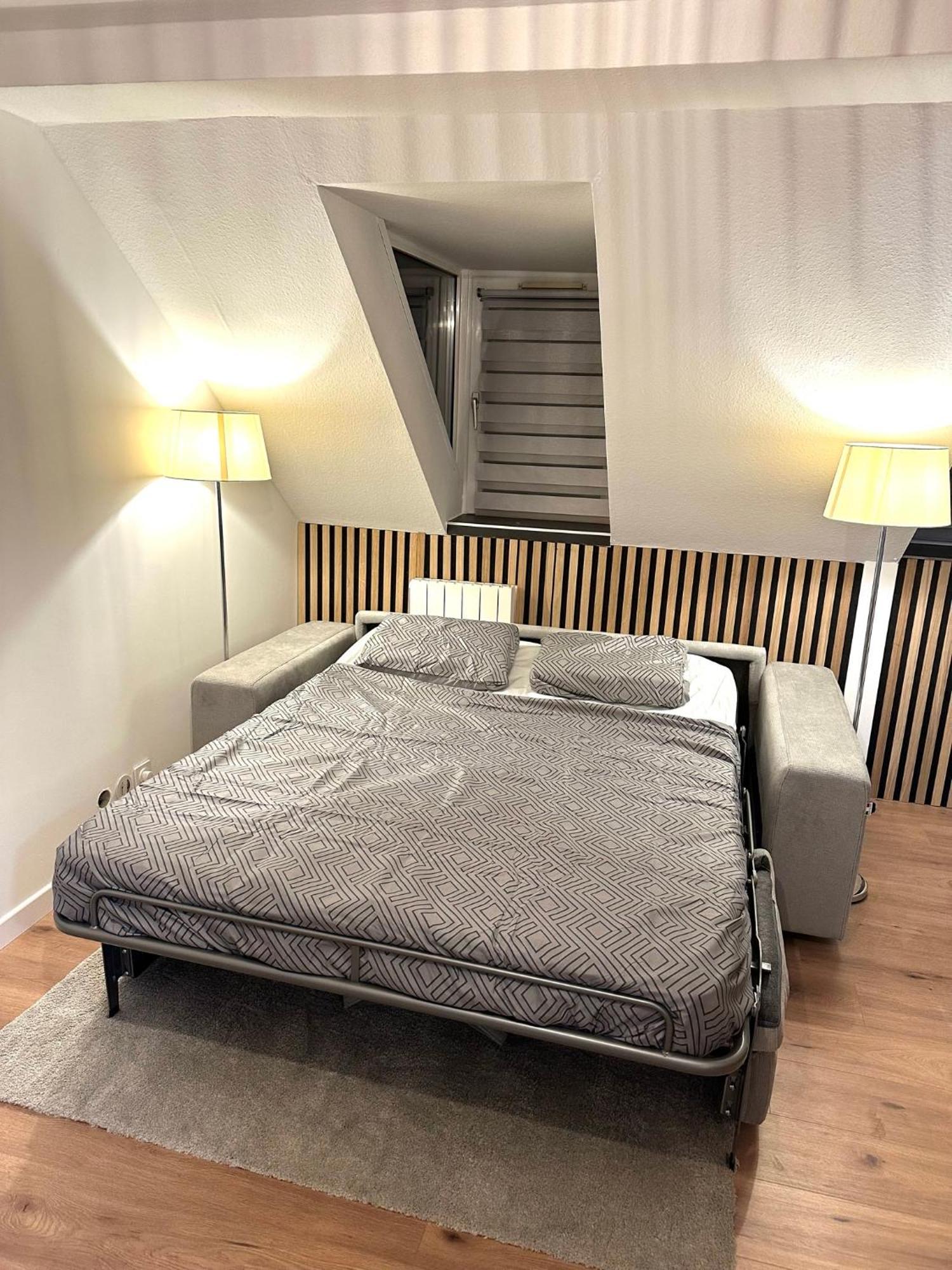 שטרסבורג Moderne T2 Centre Sauna Wifi Home Office Netflix מראה חיצוני תמונה